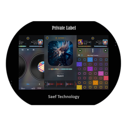 الصين المصنع 10.1 بوصة TFT شاشة LCD 1280x800 بكسلات IPS نوع LVDS مع CTP